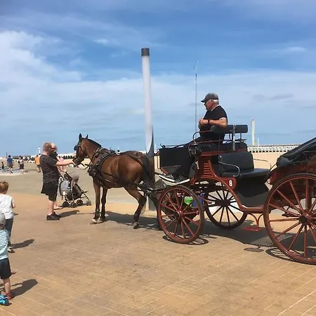 Apartamento Mooi In Centrum *