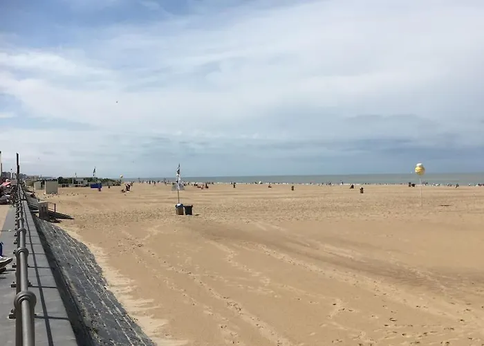 Mooi In Centrum 公寓 *